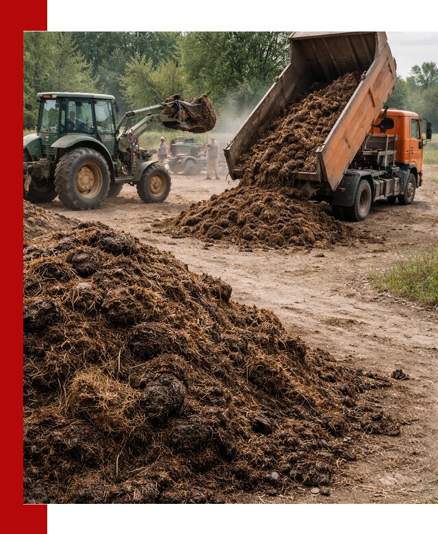 Доставка навоза самосвалами в Моршанске для сельхозпотребностей